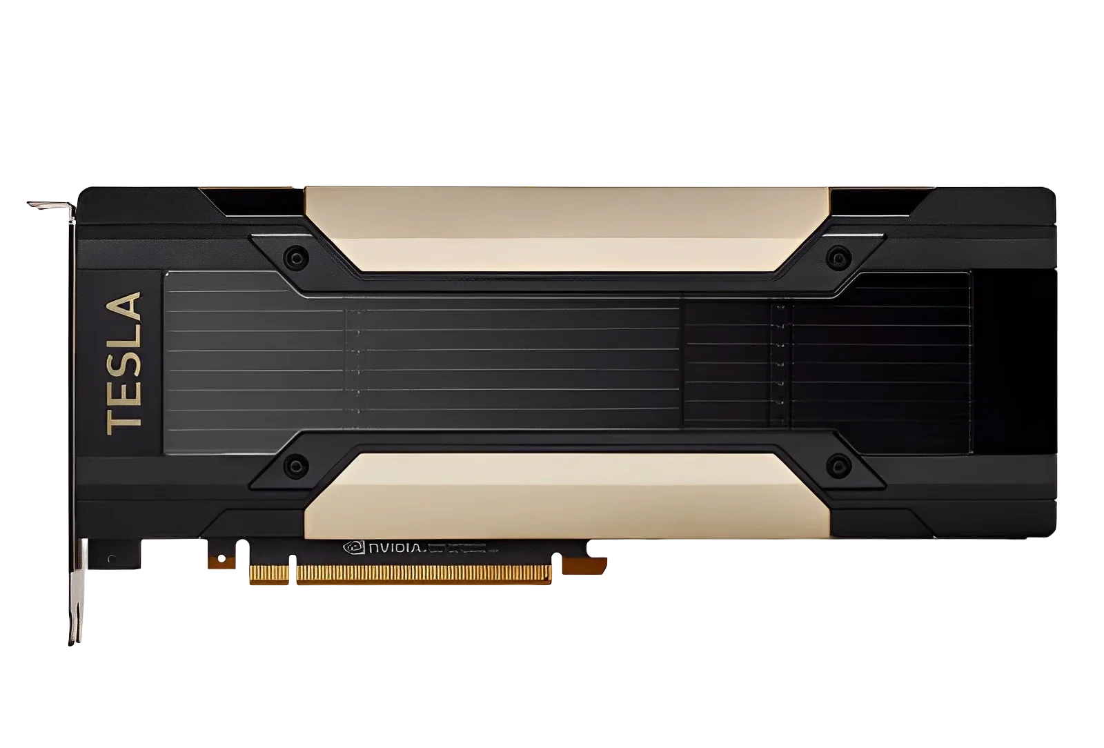 GPU Gráfica V100/P100/T4/P4/P4 - Ddr5 8Gb reseña y precio